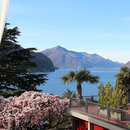 Ferienwohnung Barony Olive 2 Personen Mit Hund Lugano Exterior foto