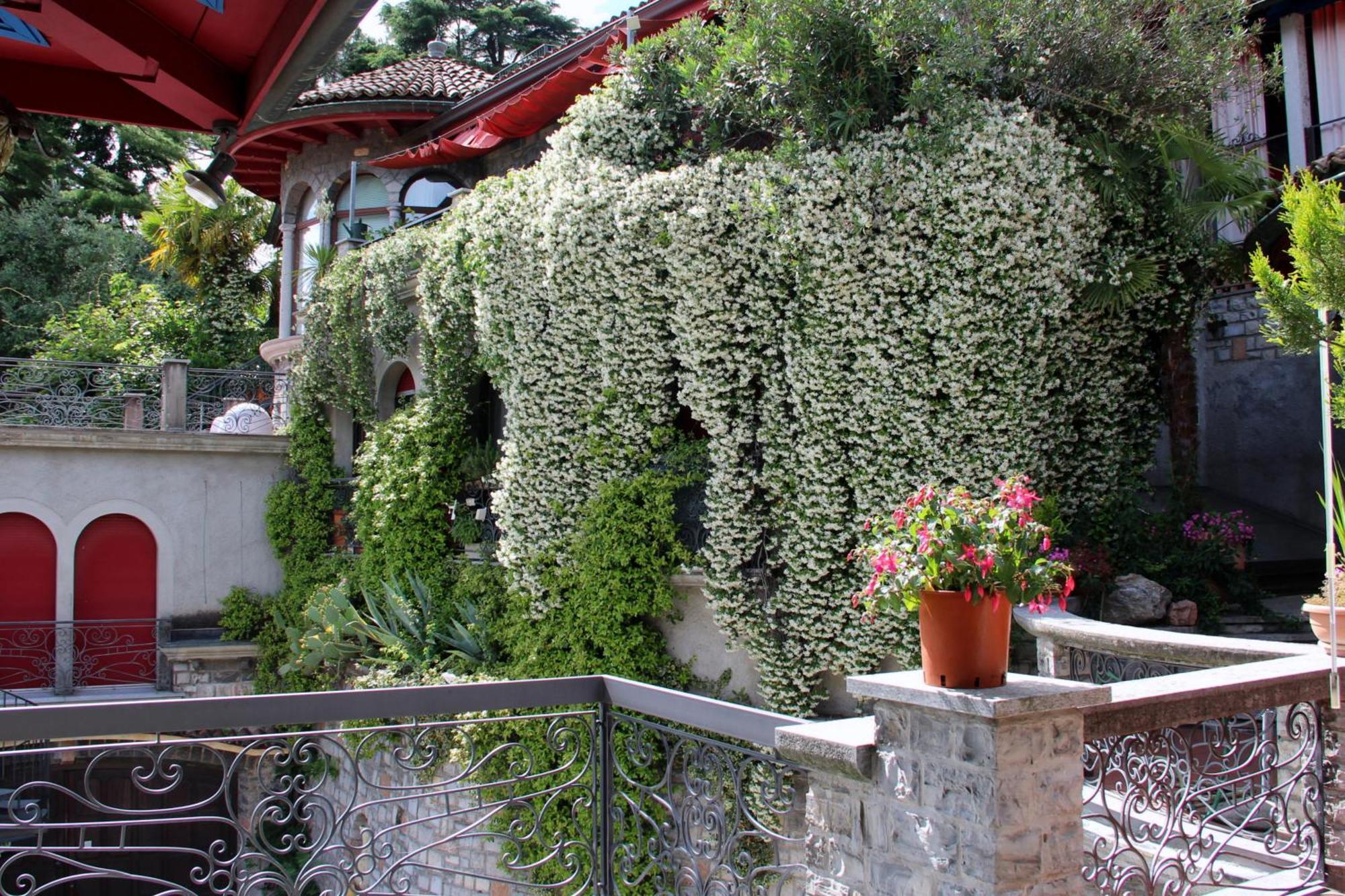 Ferienwohnung Barony Olive 2 Personen Mit Hund Lugano Exterior foto